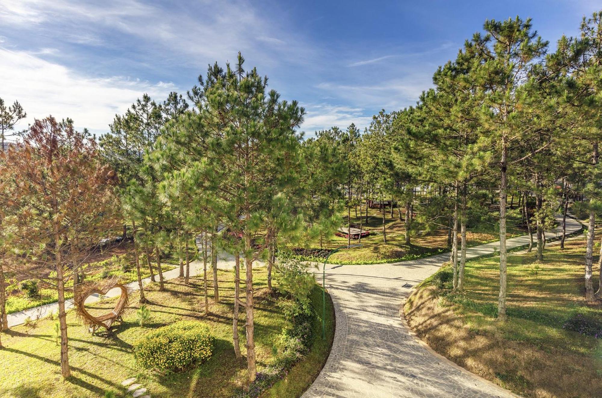Rừng Lá Kim Resort Đà Lạt Ngoại thất bức ảnh
