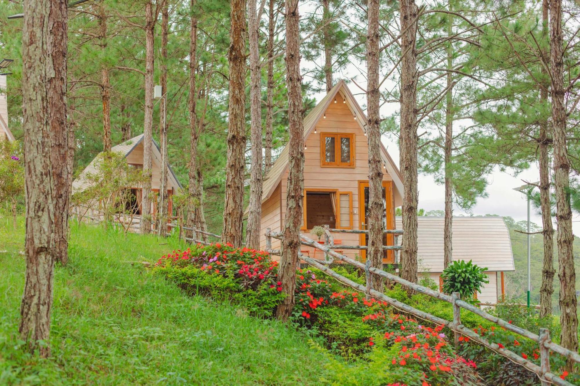 Rừng Lá Kim Resort Đà Lạt Ngoại thất bức ảnh