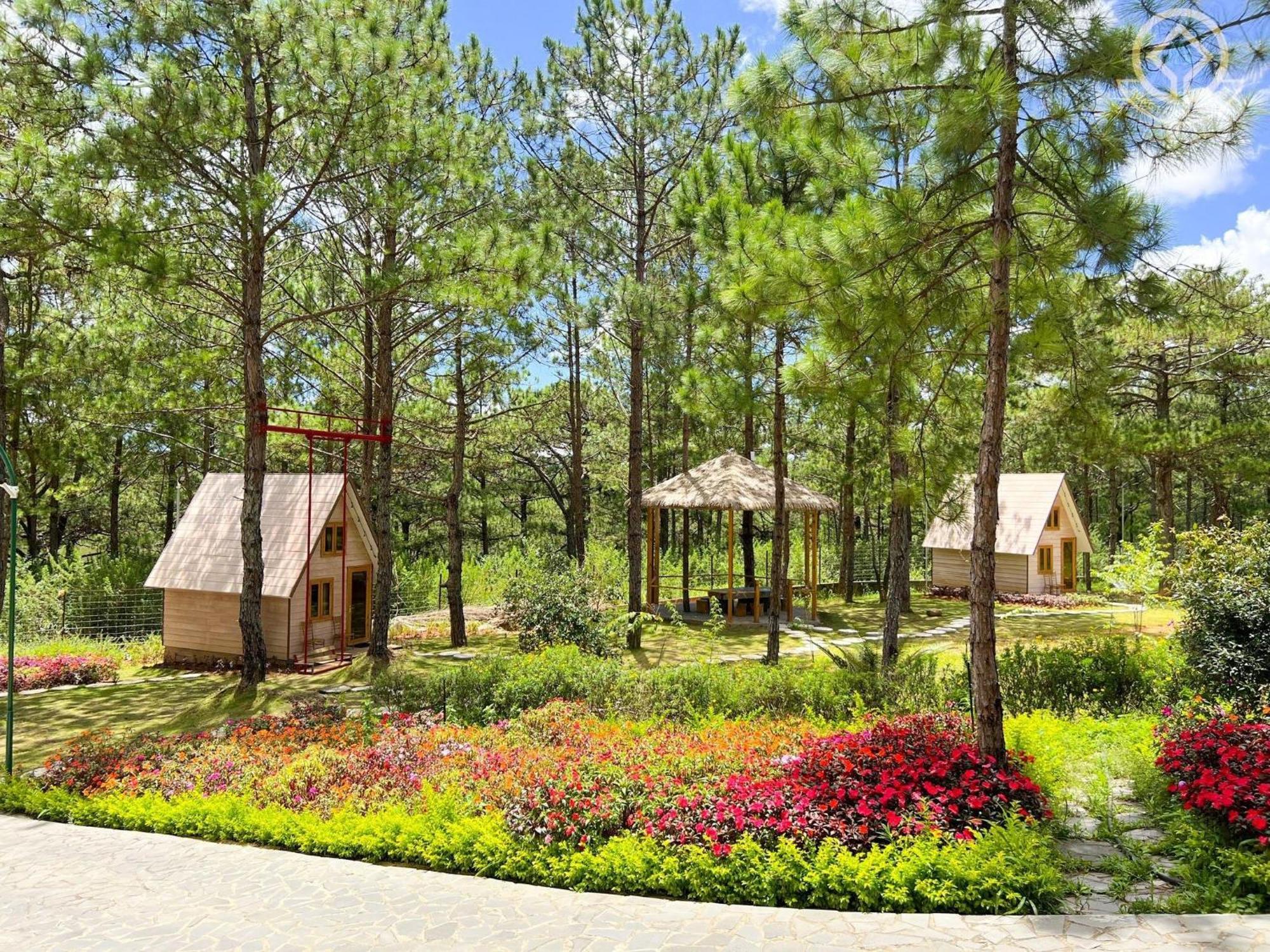 Rừng Lá Kim Resort Đà Lạt Ngoại thất bức ảnh