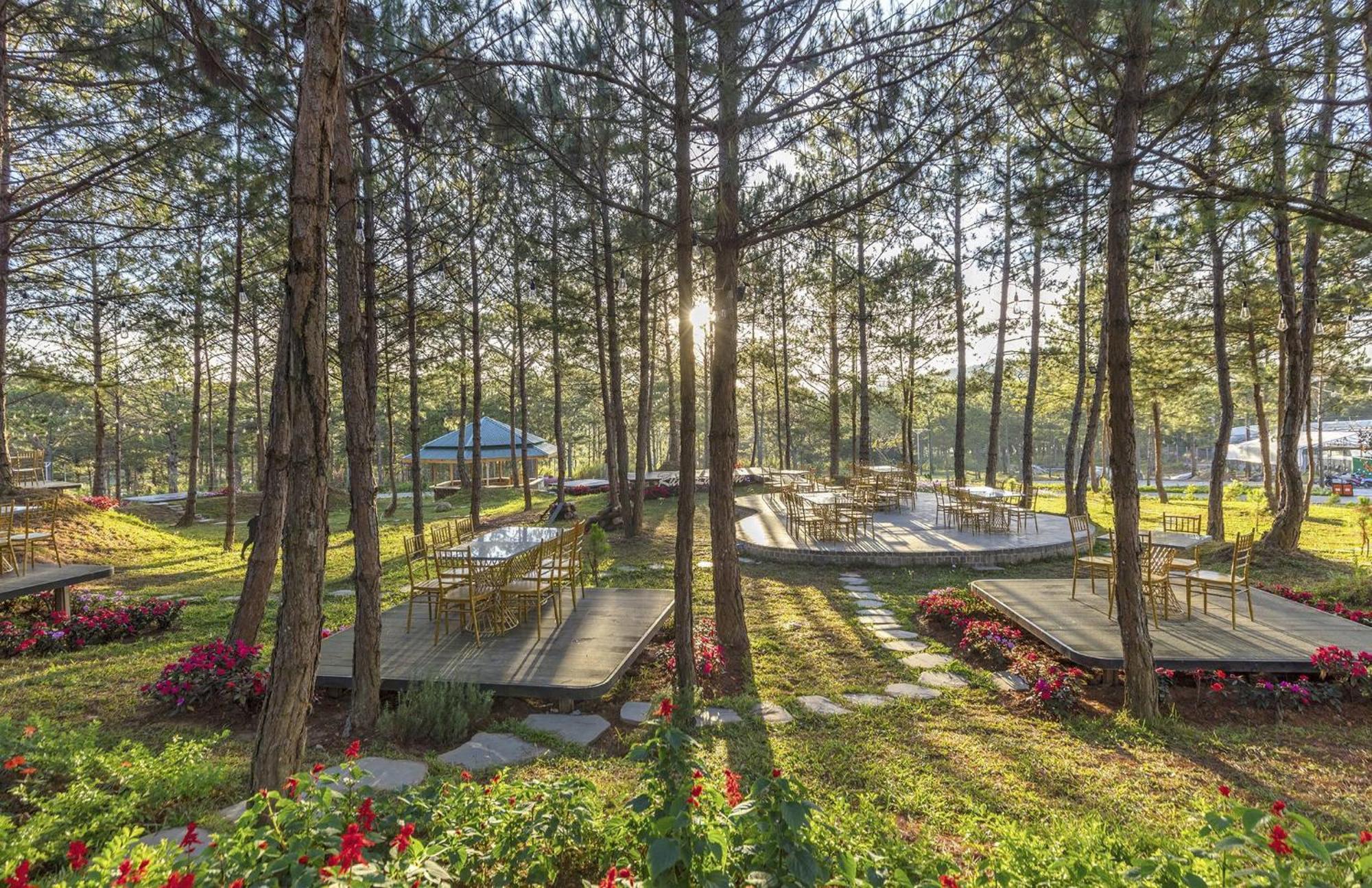 Rừng Lá Kim Resort Đà Lạt Ngoại thất bức ảnh