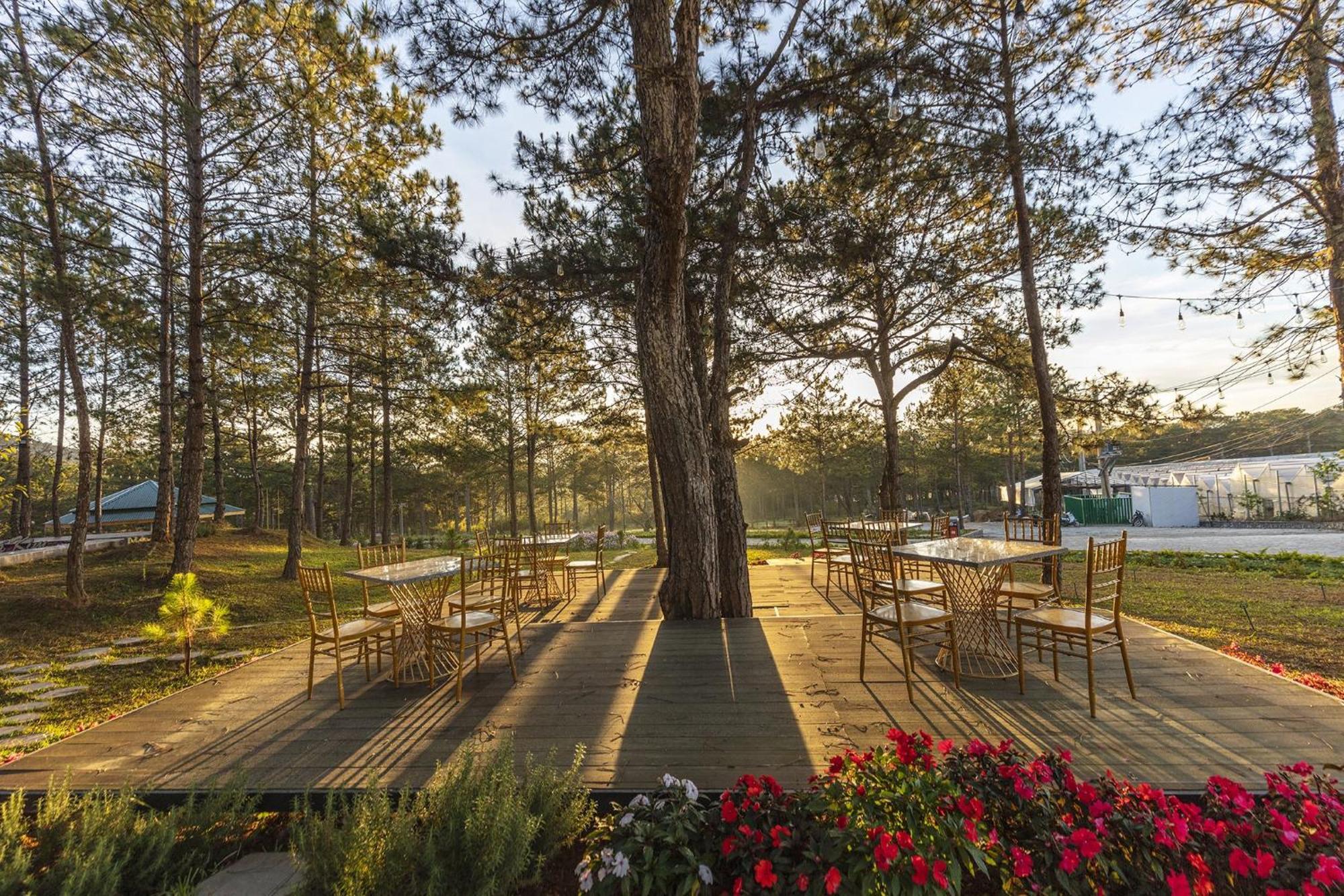 Rừng Lá Kim Resort Đà Lạt Ngoại thất bức ảnh